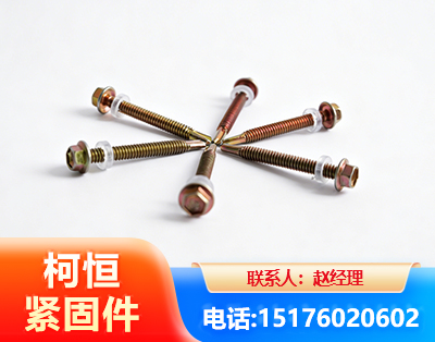 阿坝六角钻尾丝